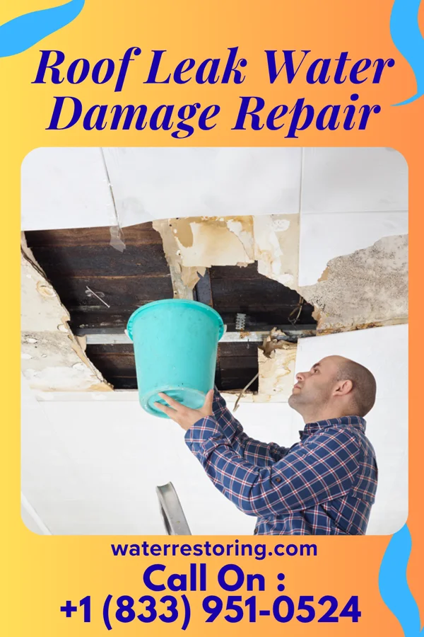 Roof Leak Water Damage Repair in Mount Airy, MD