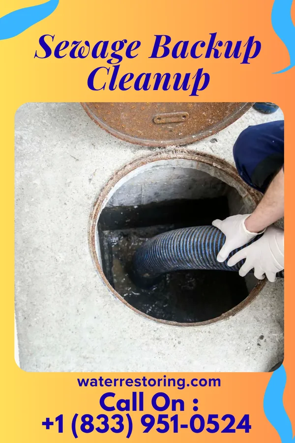 Sewage Backup Cleanup in Mount Airy, MD