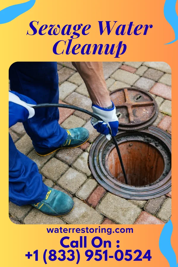 Sewage Water Cleanup in Mount Airy, MD