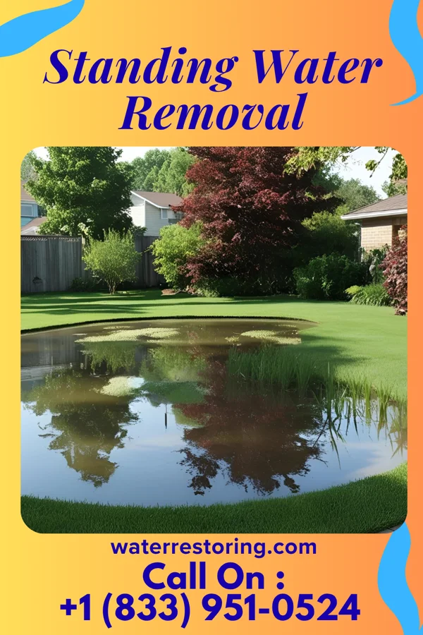 Standing Water Removal in Mount Airy, MD
